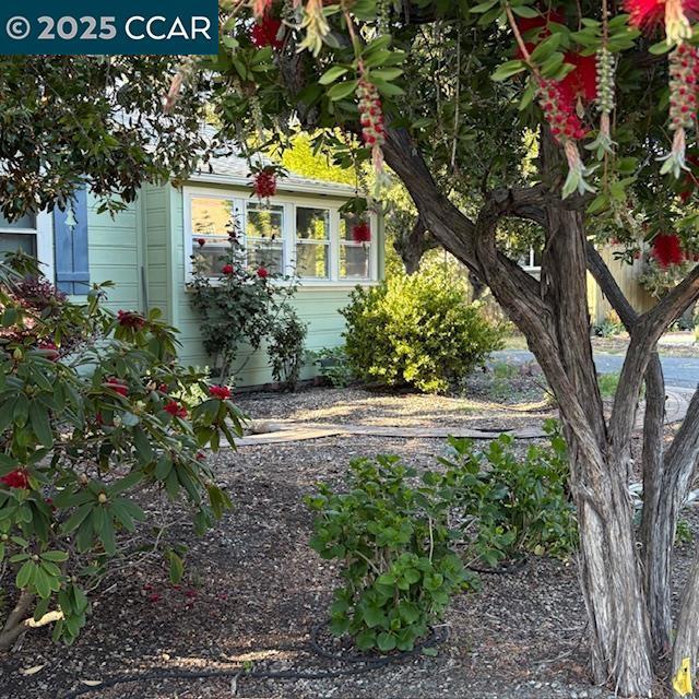 Photo of Listing #41096093