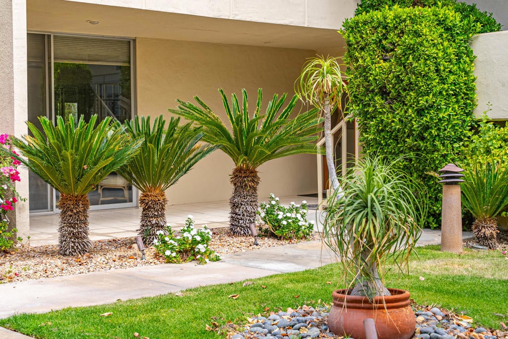 Photo of Listing #219129654PS