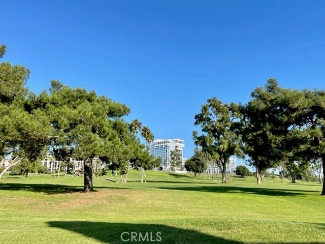 Photo of Listing #NP25100823