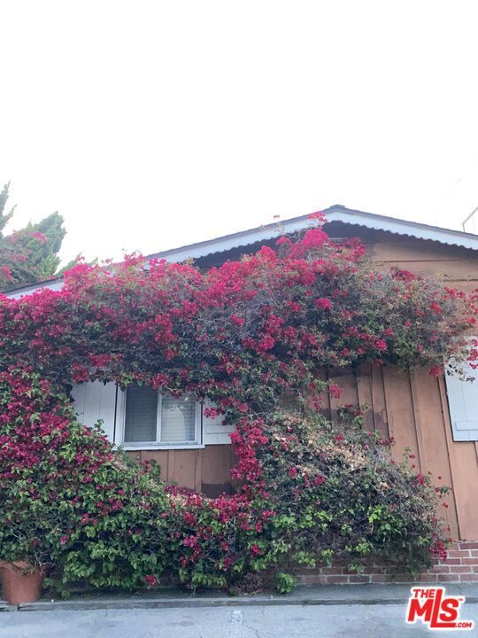 Photo of Listing #25572821