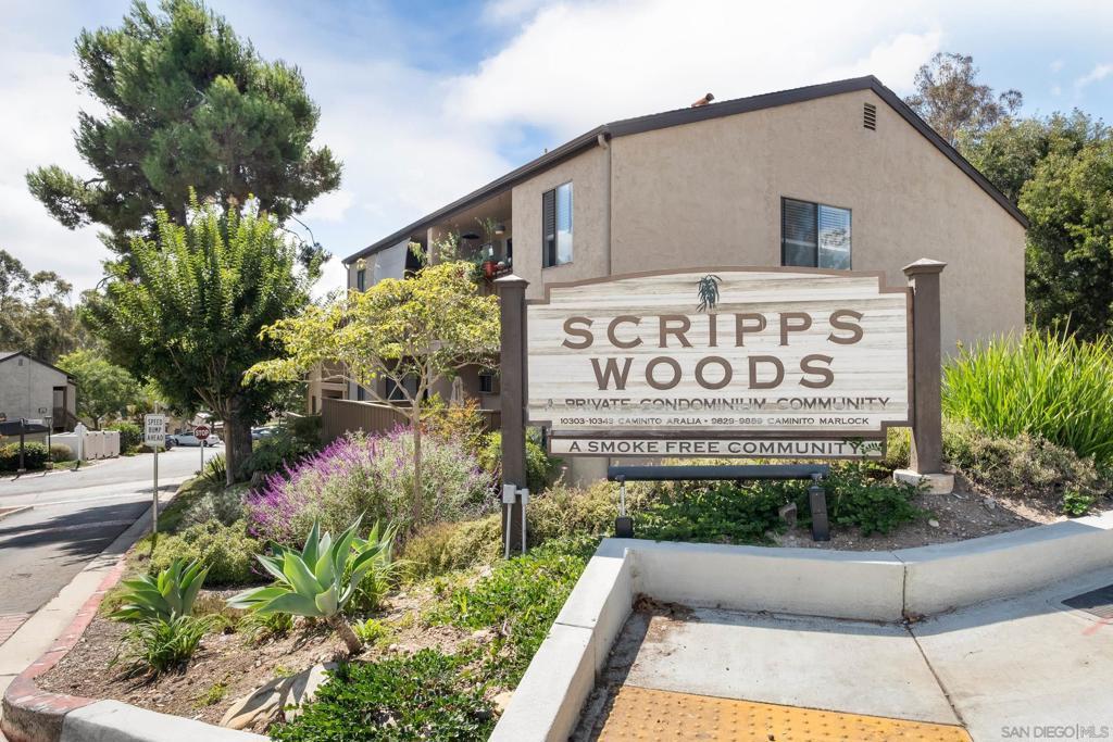 Photo of Listing #250040840SD