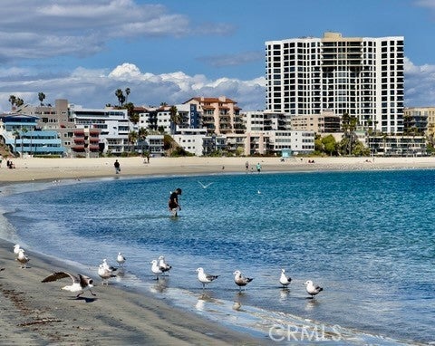 Photo of Listing #OC25222935