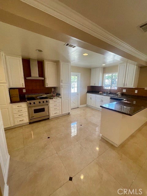 Photo of Listing #SR25236063