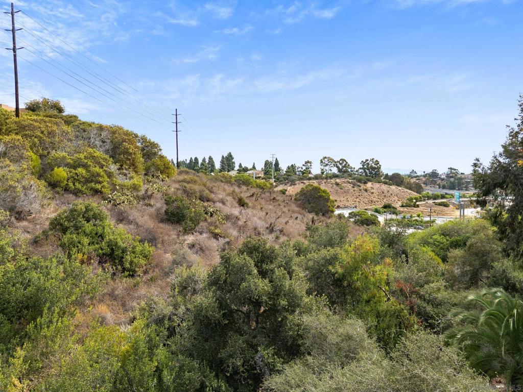 Photo of Listing #250042209SD