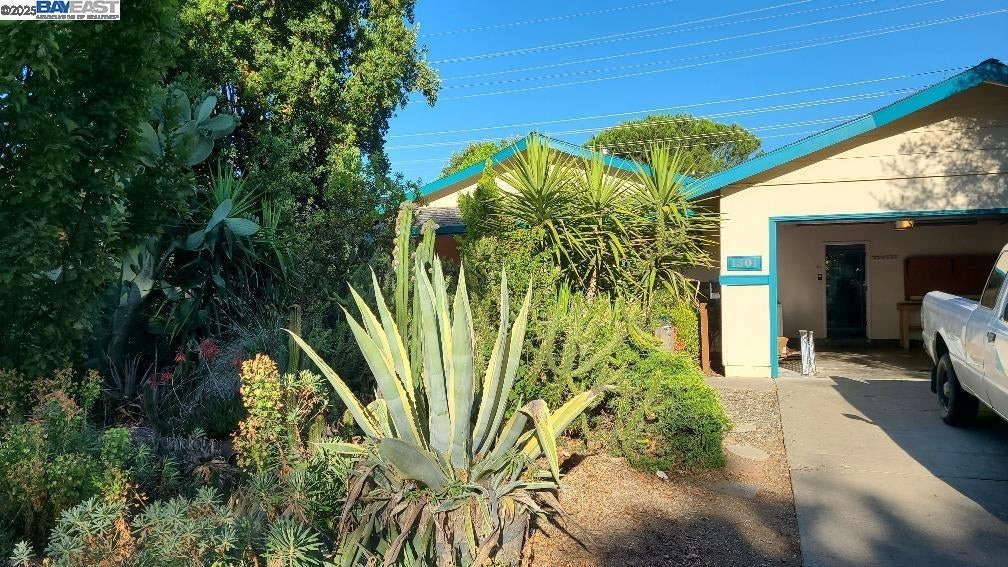 Photo of Listing #41115530