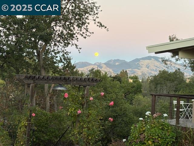 Photo of Listing #41117489