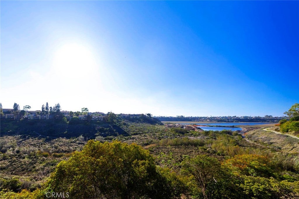 Photo of Listing #NP25266379