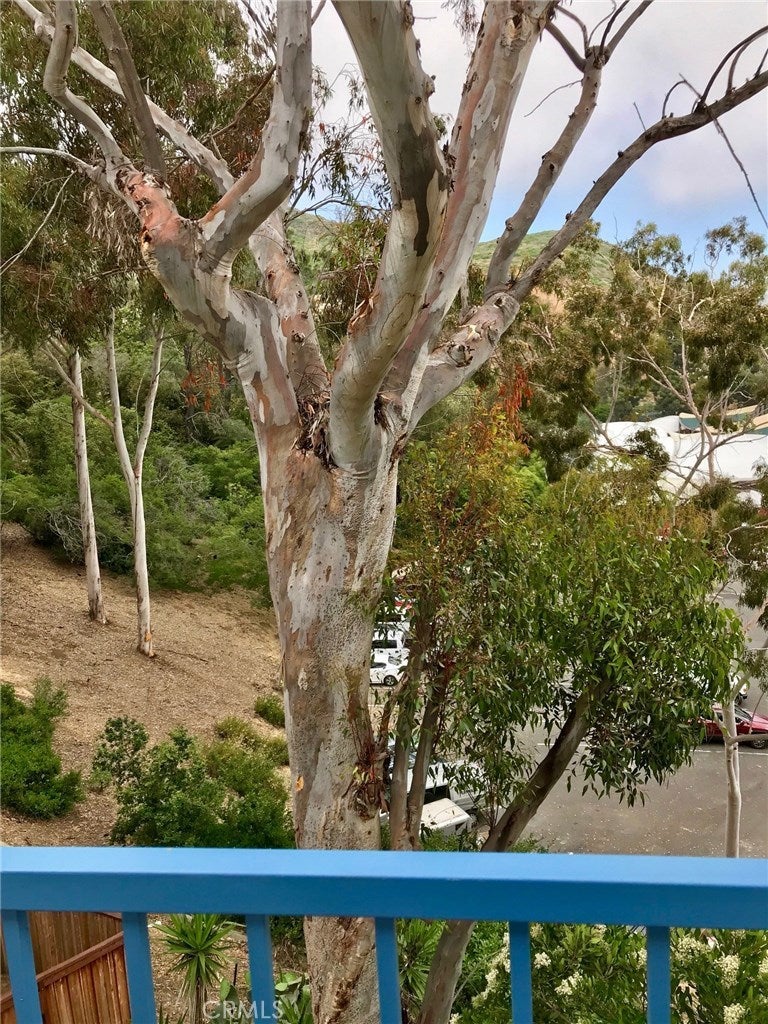 Photo of Listing #LG25275252