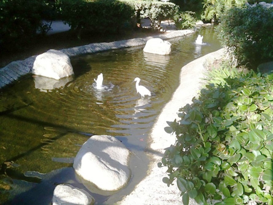 Photo of Listing #OC25279950