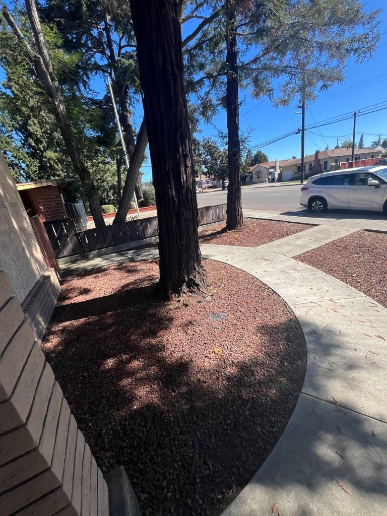 Photo of Listing #41121334