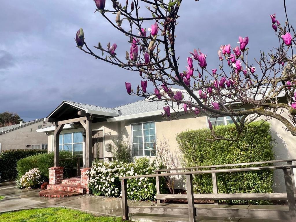 Photo of Listing #ML82034593