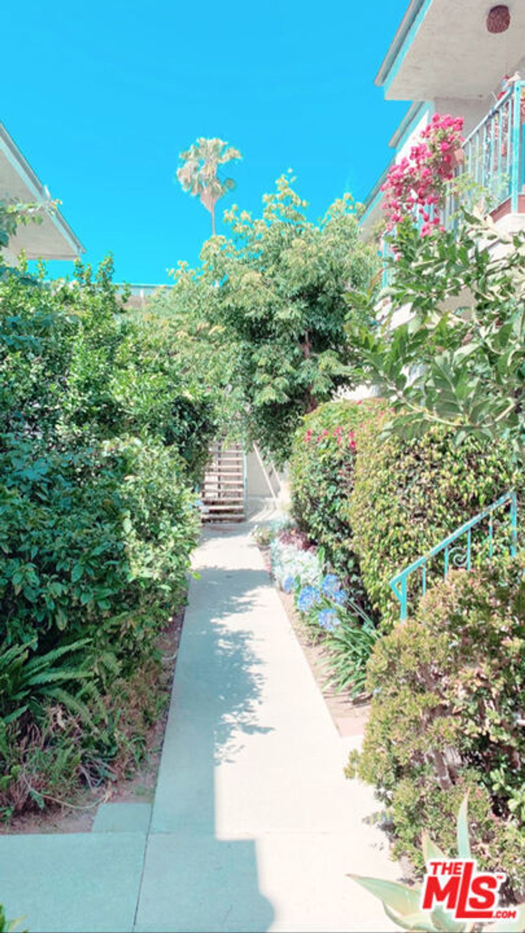 11081 Rose Avenue # 25, Los Angeles
