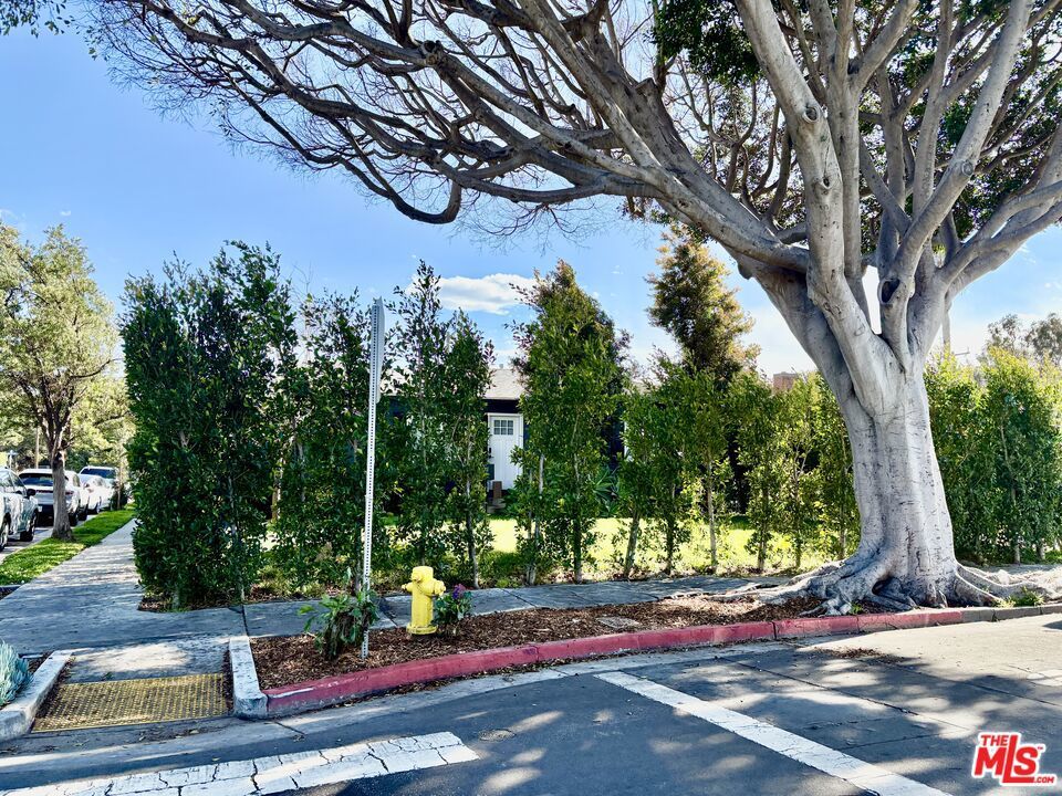 Photo of Listing #26666177