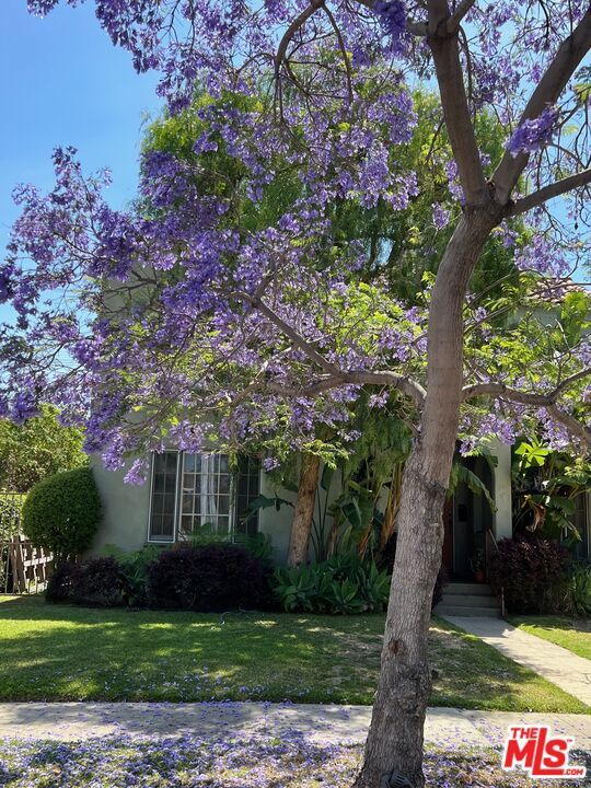 Photo of Listing #26668547