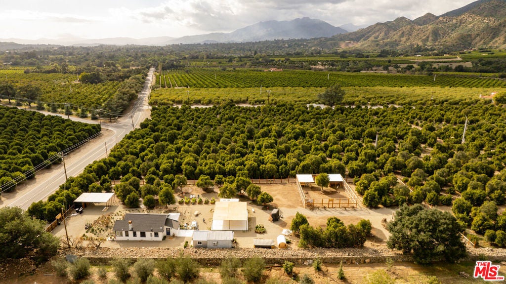 Photo of Listing #26671477