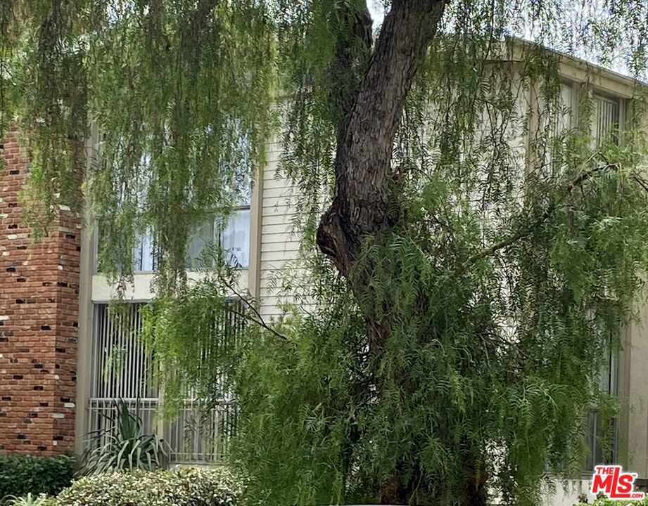 Photo of Listing #26731135