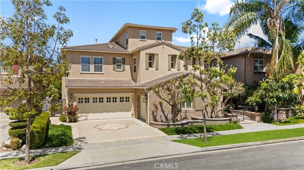 29 Antique Rose, Irvine
