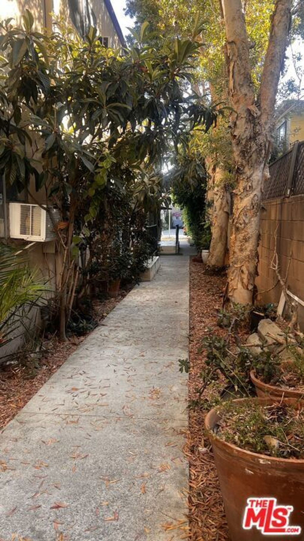 3562 Mentone, Los Angeles