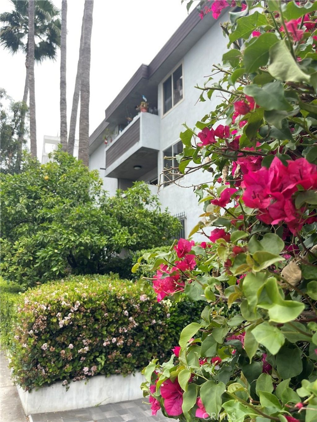 1124 N La Cienega Boulevard # 202, West Hollywood