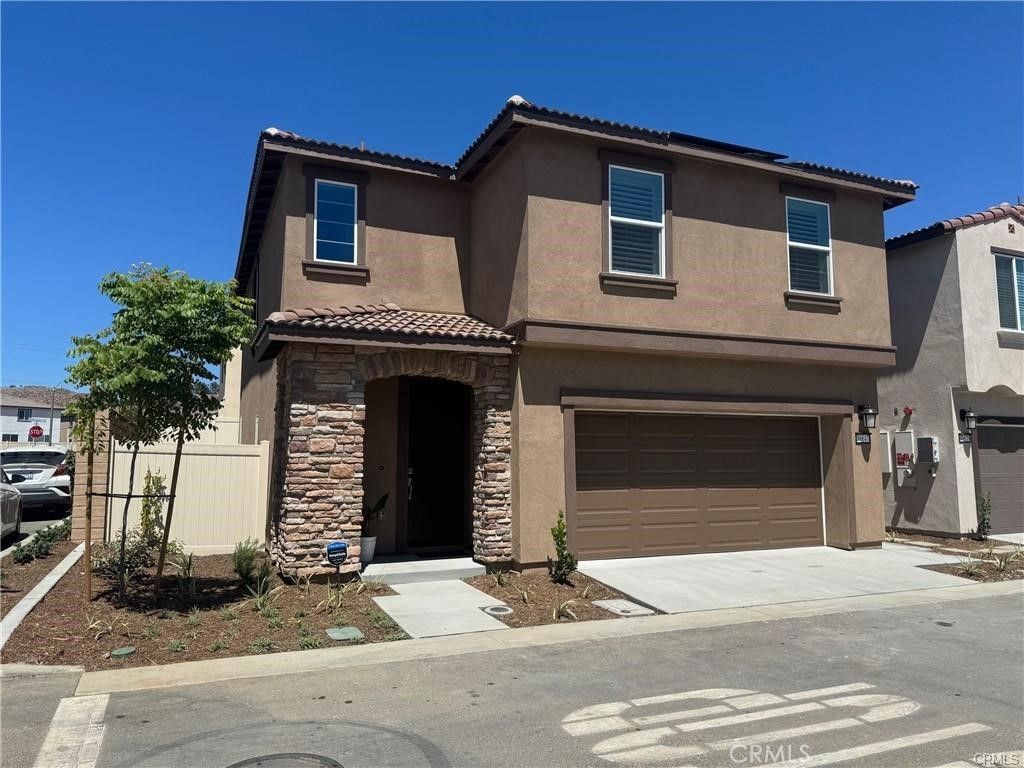 36647 Desert Tortoise, Murrieta