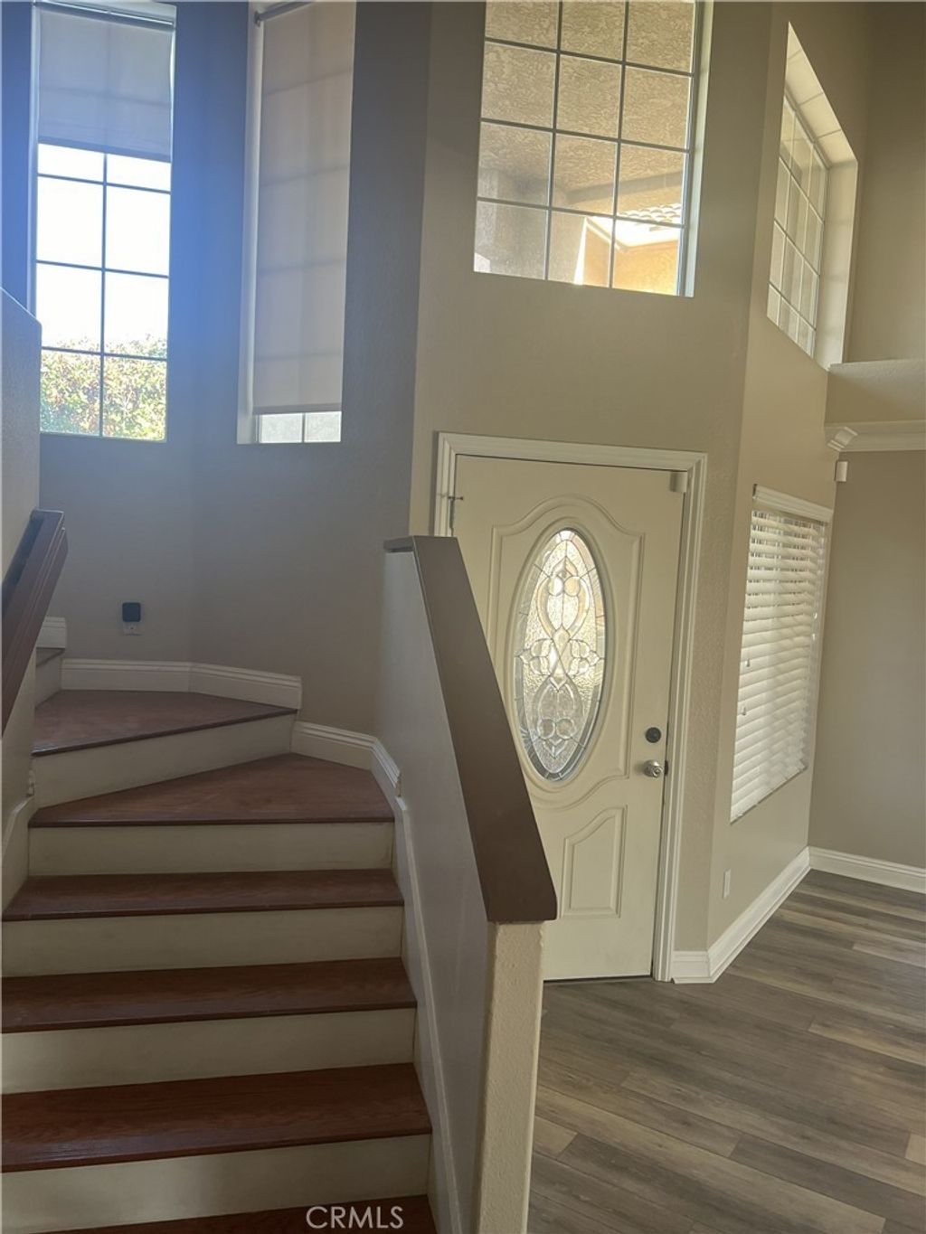 23851 Golden Pheasant, Murrieta