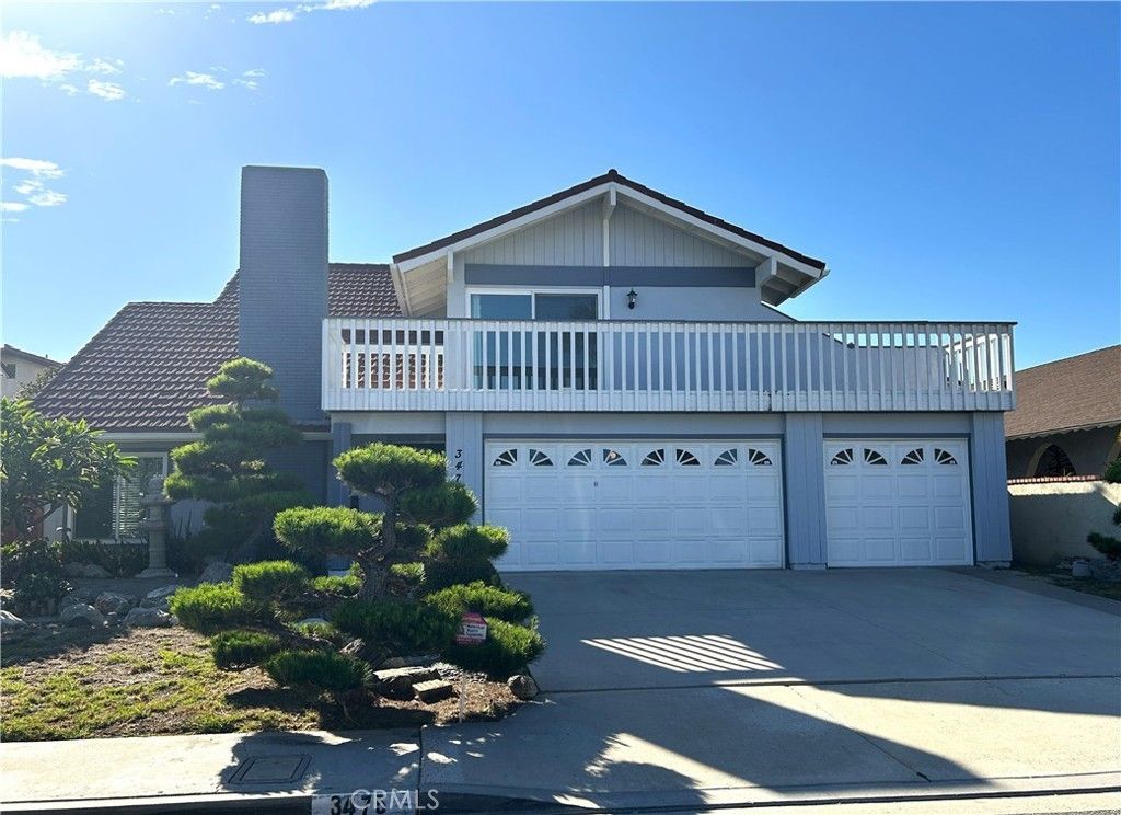 3475 Fuchsia, Costa Mesa