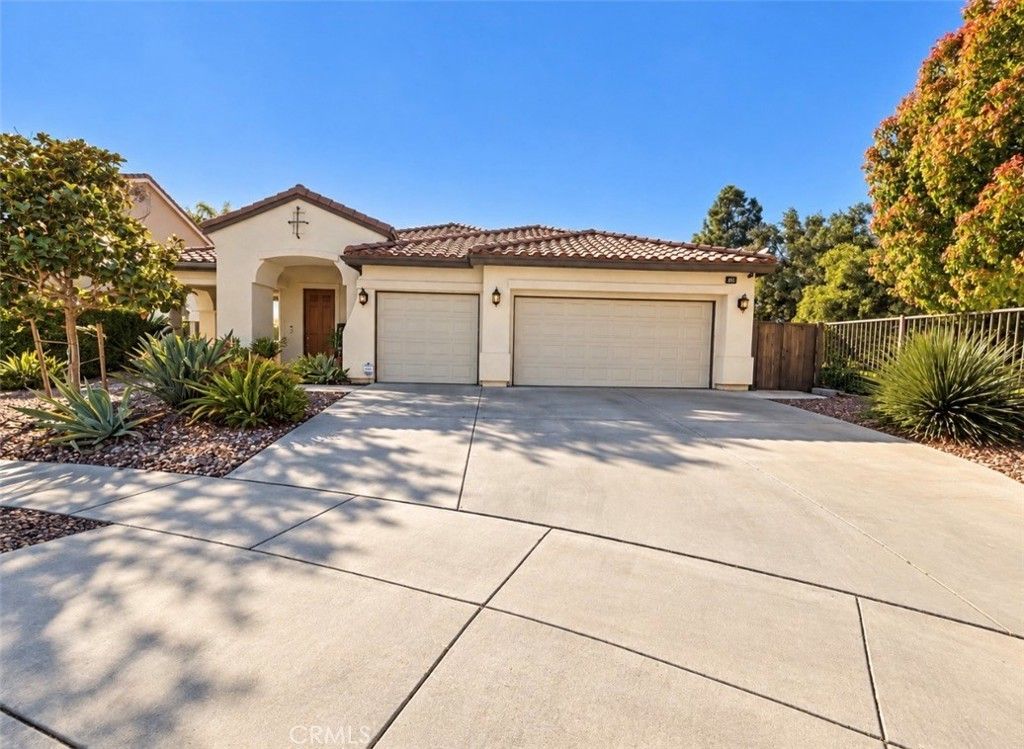 33563 Delphinium, Murrieta