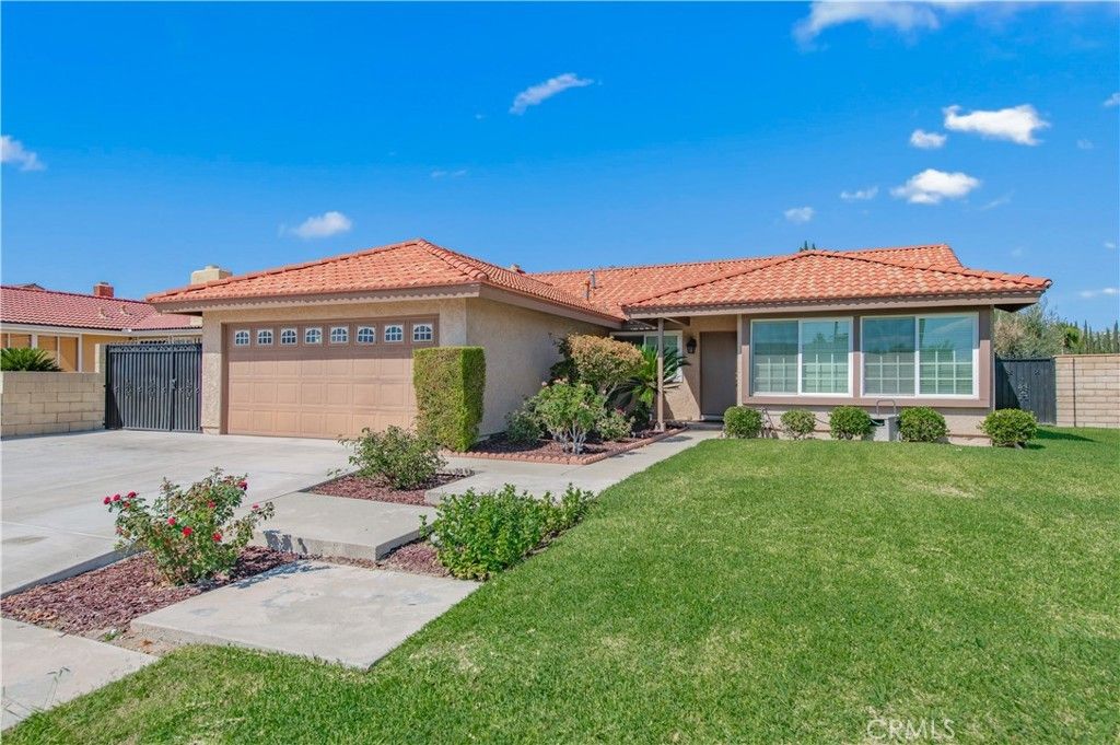 20417 Fuero, Walnut