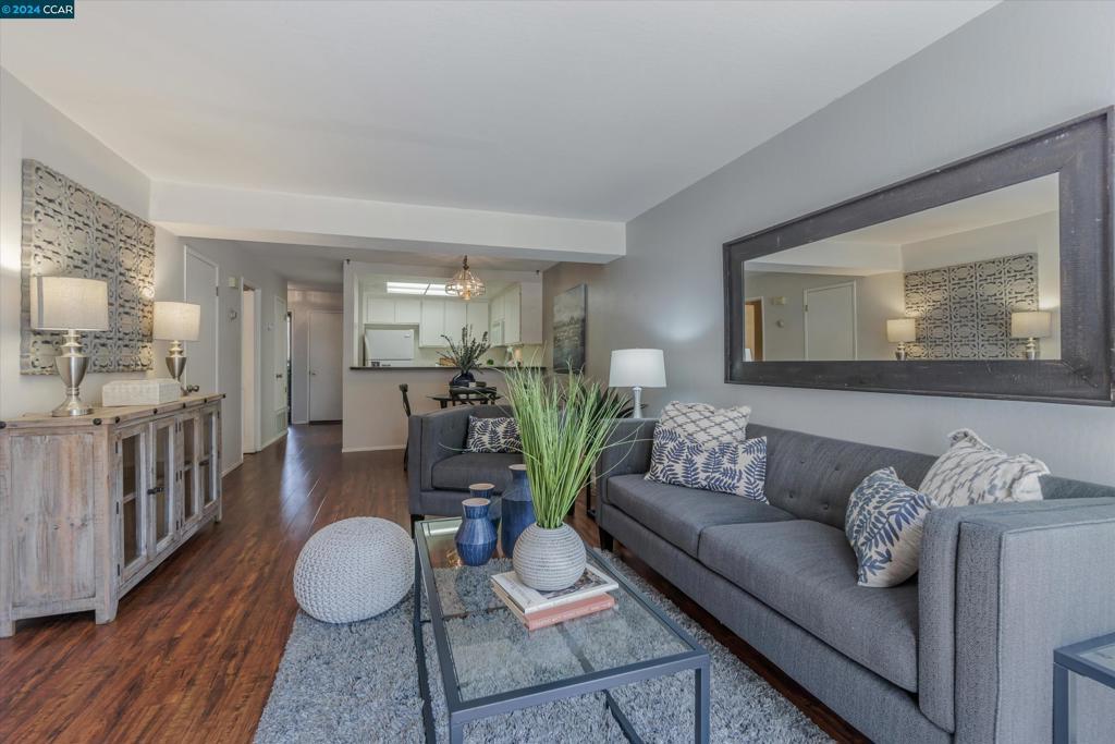 343 Pantano Circle, Pacheco