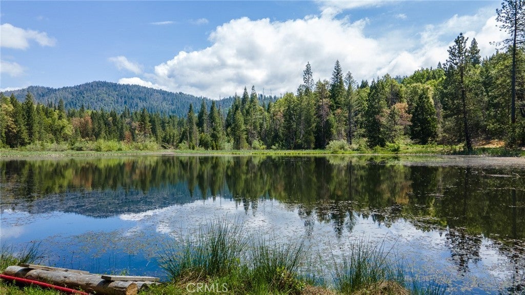 Photo of Listing #MP24216532