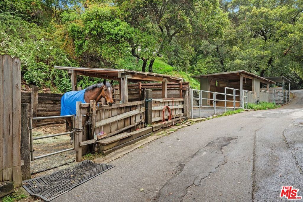 Photo of Listing #25519341