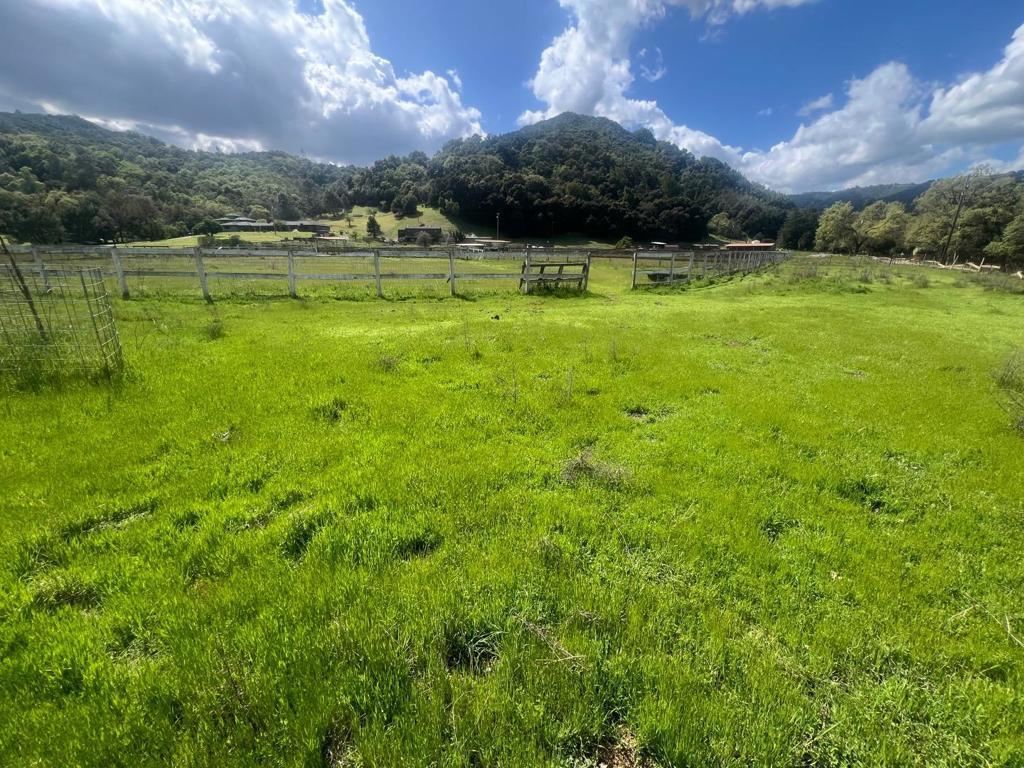 Photo of Listing #ML82002192