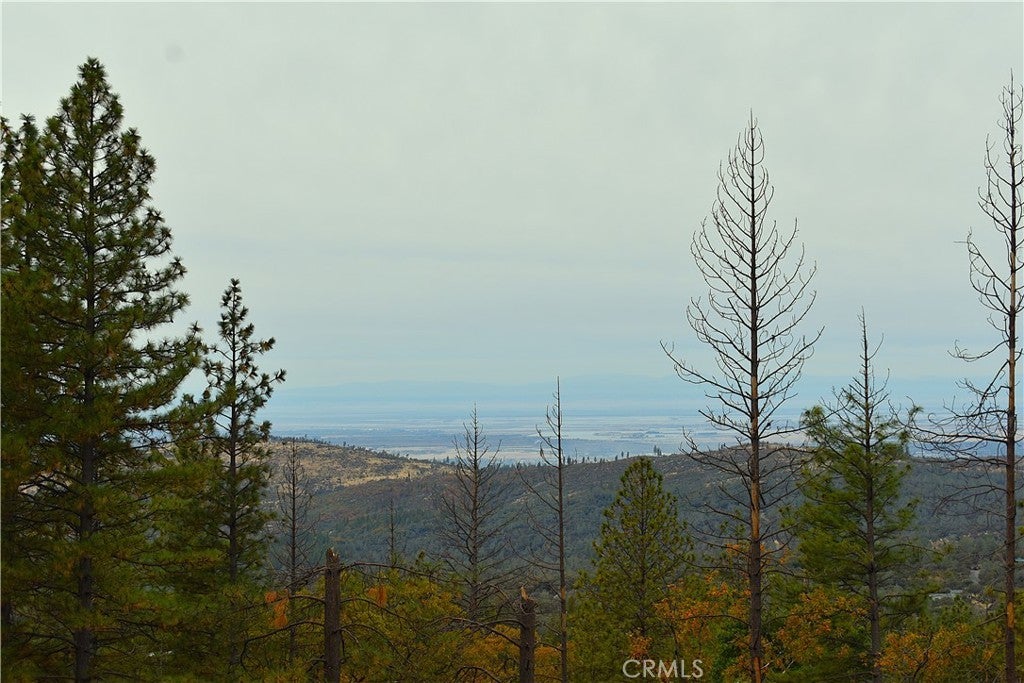 Photo of Listing #OR25092198