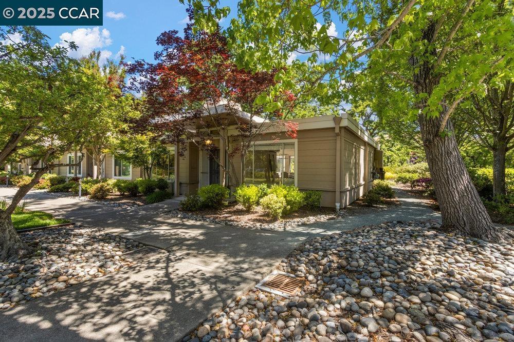Photo of Listing #41097035