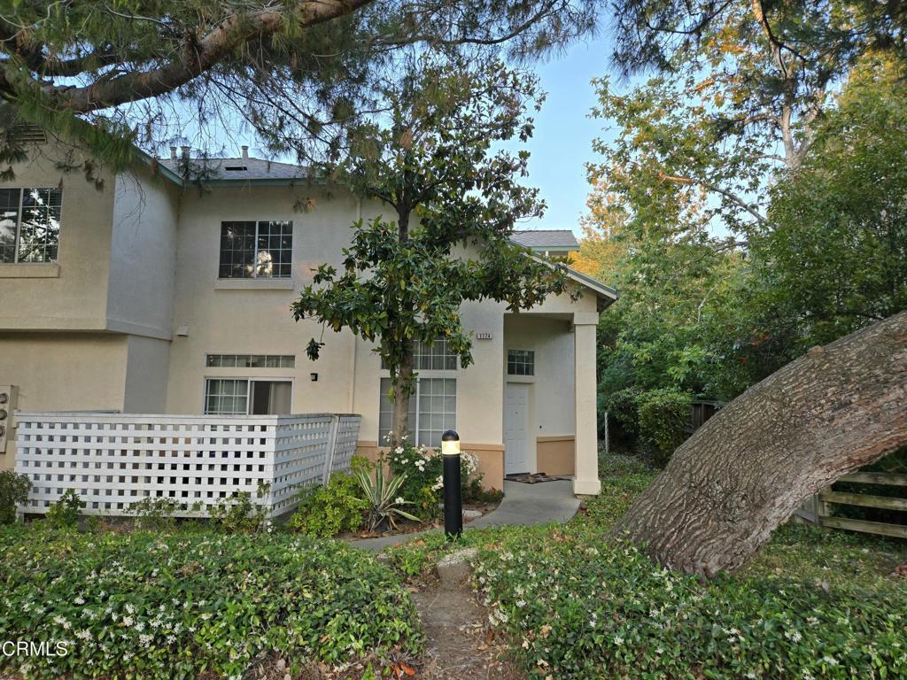 Photo of Listing #V1-30113