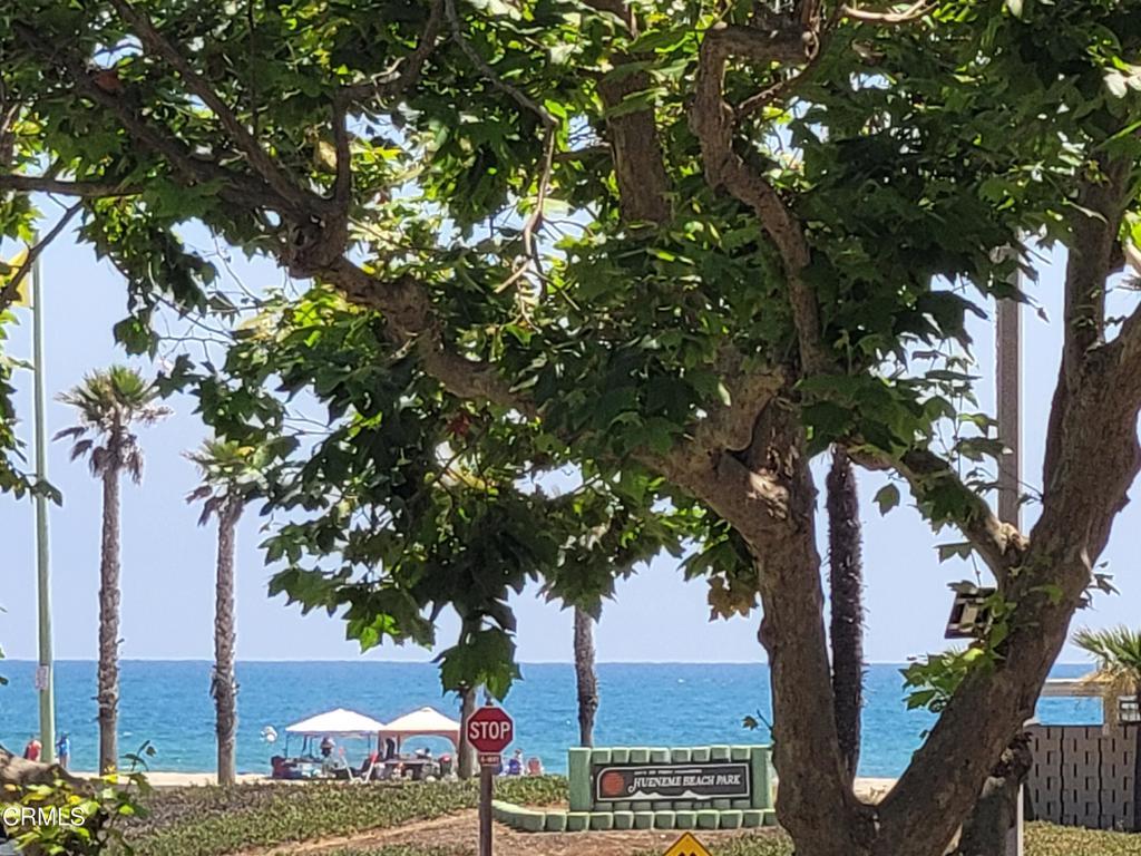 Photo of Listing #V1-30733