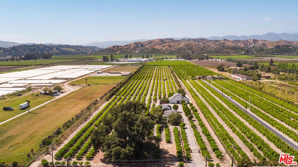 Photo of Listing #25557237