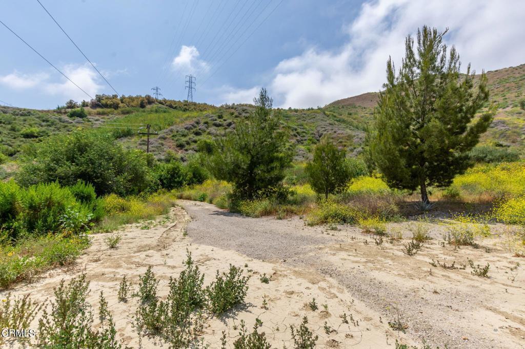 Photo of Listing #V1-31101