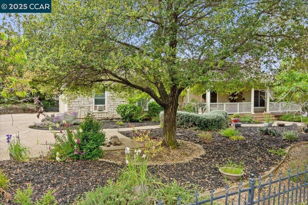 Photo of Listing #41105277