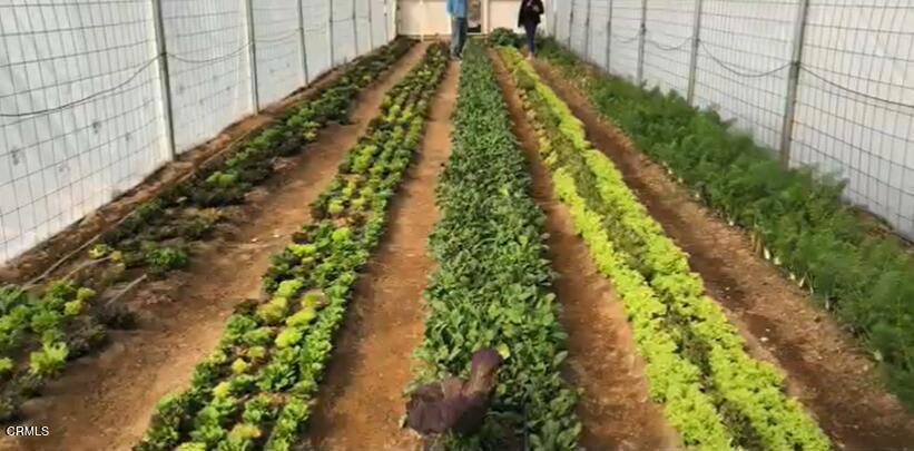 Photo of Listing #P1-23329