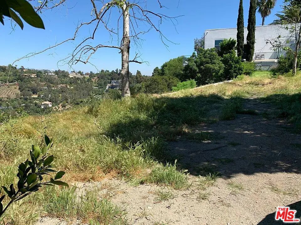 Photo of Listing #25569689