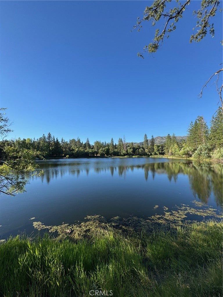 Photo of Listing #MP25151567