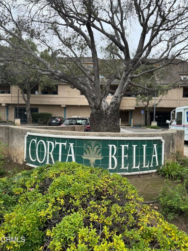 Photo of Listing #V1-31464