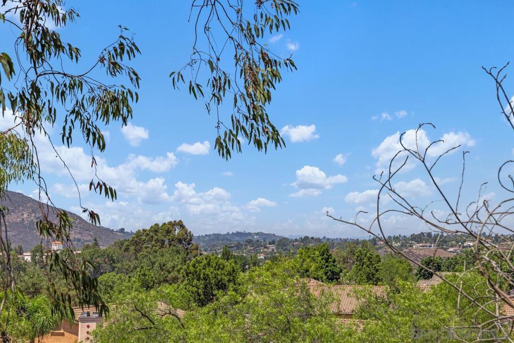 Photo of Listing #250035180SD