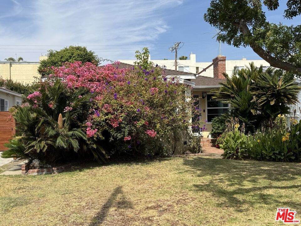 Photo of Listing #25574337