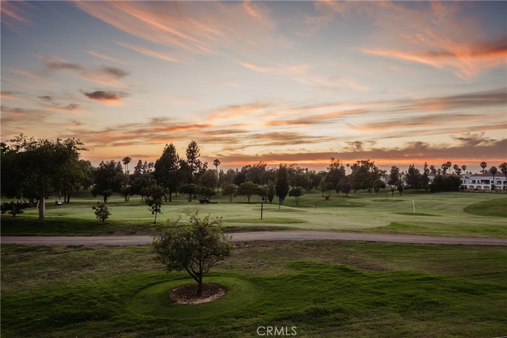 Photo of Listing #DW25176038