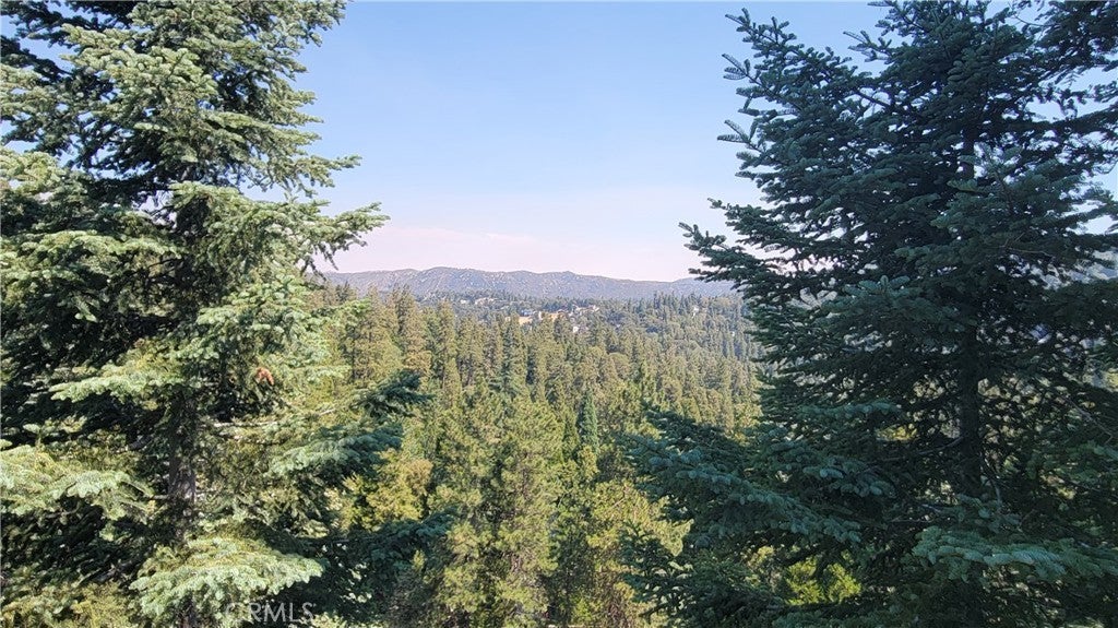 Photo of Listing #IG25177069