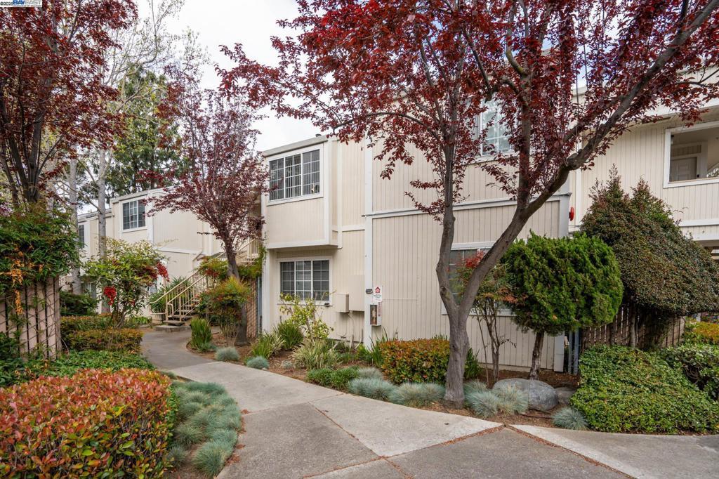 Photo of Listing #41107787