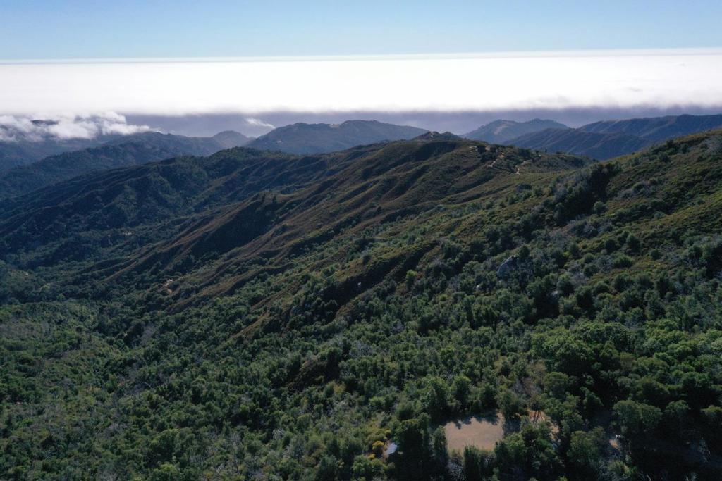 Photo of Listing #ML82018695