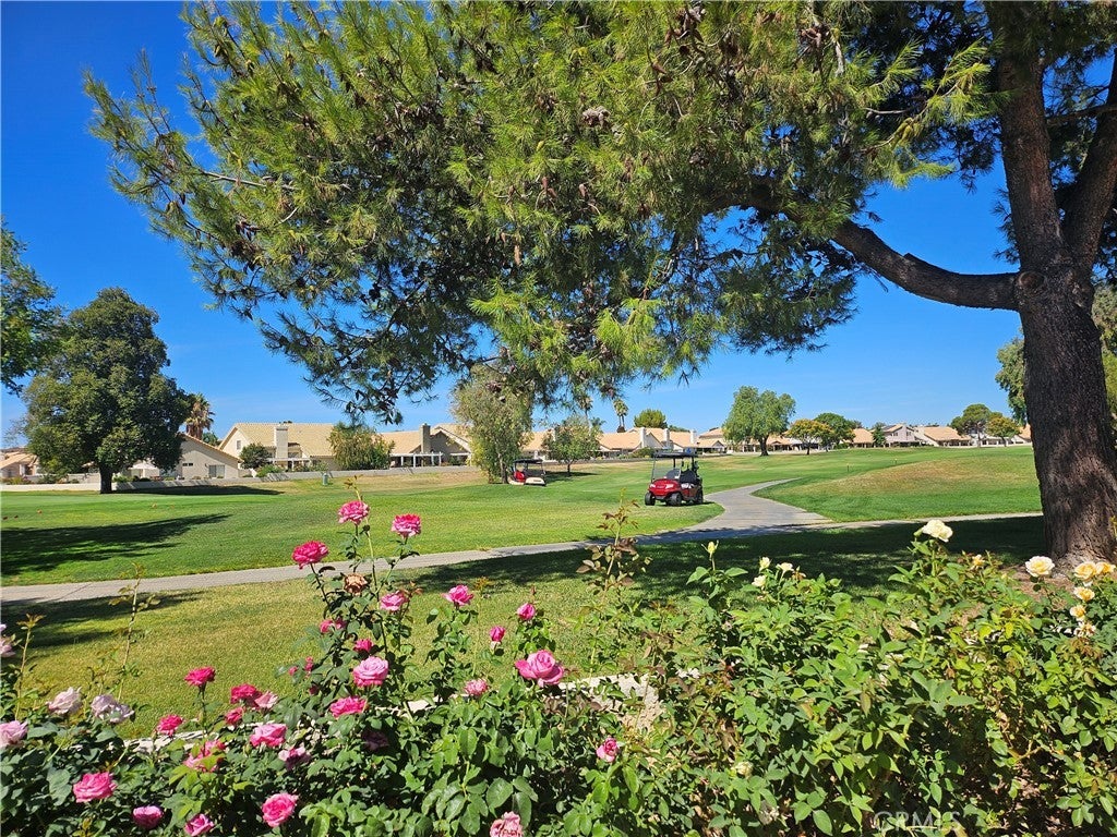 Photo of Listing #IG25191309